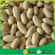 high quality blanched peanuts kernels